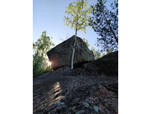 IMG 20240611 172154.jpg