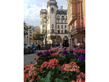 IMG 20240610 195450.jpg