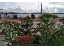 IMG 20240612 172948.jpg