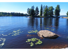 IMG 20240611 170241.jpg