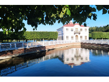 IMG 20240613 194853.jpg