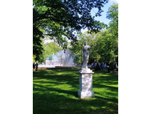 IMG 20240613 170131.jpg