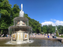 IMG 20240613 160859.jpg