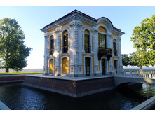 IMG 20240613 191949.jpg