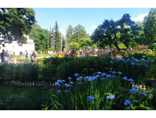 IMG 20240613 155906.jpg