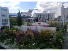 IMG 20240608 151106.jpg