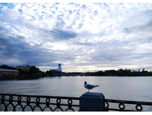 IMG 20240611 200021.jpg