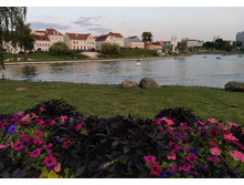 IMG 20240801 204926.jpg