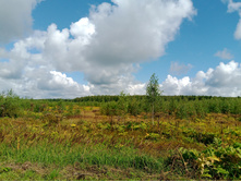 20240803 ������-200 ���������� 102550.jpg