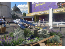 IMG 20240608 145748.jpg