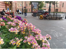 IMG 20240610 195506.jpg