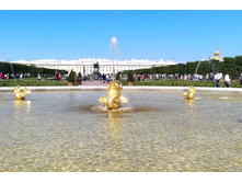 IMG 20240613 142635.jpg