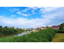 IMG 20240726 172535.jpg