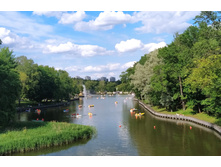 IMG 20240608 162420.jpg