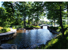 IMG 20240611 171527.jpg