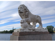 IMG 20240610 160056.jpg