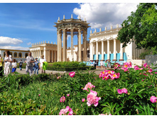 IMG 20240608 141735.jpg