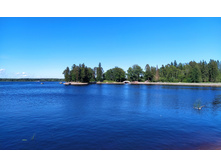 IMG 20240611 165441.jpg