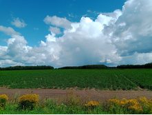 20240803 ������-200 ���������� 114052.jpg