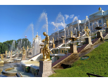 IMG 20240613 174724.jpg