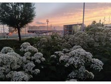 IMG 20240614 211944.jpg