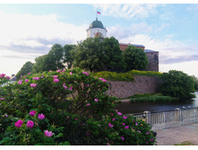 IMG 20240611 194817.jpg