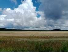 20240803 ������-200 ���������� 104412.jpg