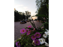 IMG 20240726 210410.jpg