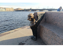 IMG 20240610 175501.jpg