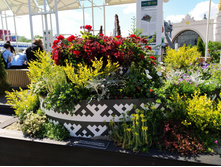 IMG 20240608 145031.jpg