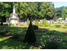 IMG 20240613 160659.jpg