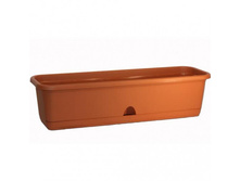 ���� ��������� 600�� � �������� ������. - 546 ���.