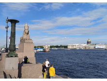 IMG 20240610 174129.jpg