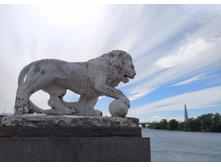 IMG 20240610 155953.jpg