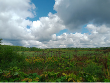 20240803 ������-200 ���������� 103215.jpg