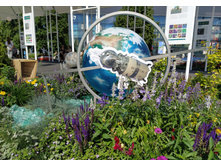 IMG 20240608 145302.jpg