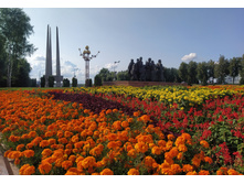 IMG 20240727 172257.jpg