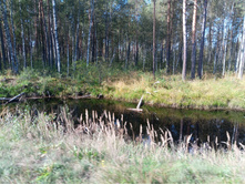 20240914 ������ ���������� 104213.jpg