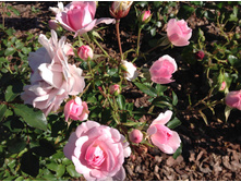 ������   ����������