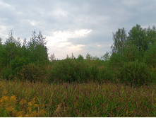 20240824 ������-300 ����� ���������� 080726.jpg