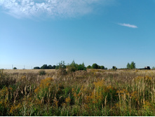 20240914 ������ ���������� 095826.jpg