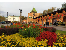 IMG 20240920 164311.jpg