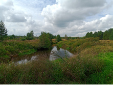 20240824 ������-300 ����� ���������� 135142.jpg