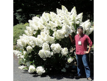 ��������� ����������� Polar Bear