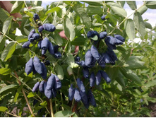 ��������� ������ �9.jpg