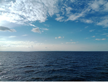 20240824 ������-300 ����� ���������� 170801.jpg