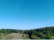 20240914 ������ ���������� 123656.jpg