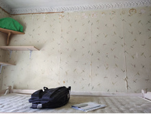 IMG 20240830 081159 206.jpg