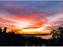 IMG 20240920 181621.jpg