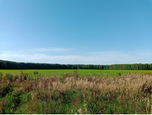 20240908 ��  �������� 143500.jpg